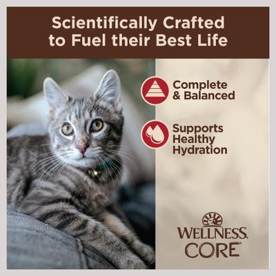 Show full view: Wellness CORE Tiny Tasters Chicken & Beef Grain-Free Minced Wet Cat Food, 1.75-oz pouch, case of 12 slide 4 of 12