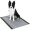 Show in main carousel: Glad for Pets Activated Carbon Giant Sized Dog Training Pads, 30 x 36-in, 24 count, Unscented slide 4 of 8