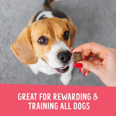 Show full view: Health Extension Crunchy Munchies Granola Bites Appley Crisp Dog Treats, 5-oz bag slide 7 of 9