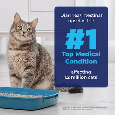 Show full view: Vetnique Labs Glandex Feline Anal Gland Support Probiotic & Digestion Tuna Flavored Powder Supplement for Cats, 2 count slide 4 of 11