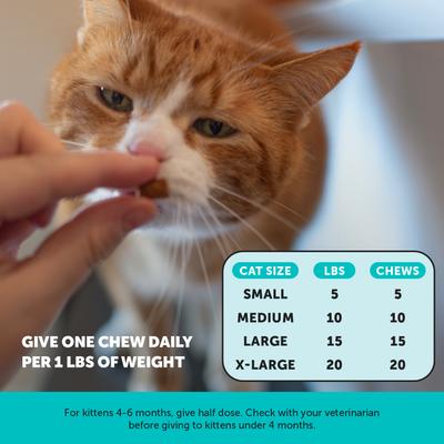 Show full view: Pet Honesty Dual Texture Chicken Flavored Chew Calming Supplement for Cats, 3.7-oz pouch slide 8 of 12