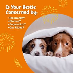 Zesty Paws Wild Alaskan Salmon Oil Formula Liquid Skin & Coat Supplement, 32-oz bottle + Hemp Calming Bites Peanut Butter Flavored Soft Chews Composure & Relaxation Supplement for Dogs, 90 count slide 2 of 9