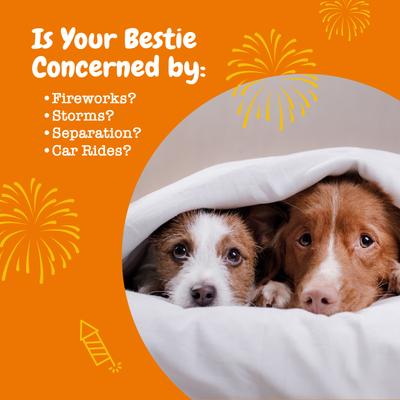 Show full view: Zesty Paws Wild Alaskan Salmon Oil Formula Liquid Skin & Coat Supplement, 32-oz bottle + Hemp Calming Bites Peanut Butter Flavored Soft Chews Composure & Relaxation Supplement for Dogs, 90 count slide 9 of 9