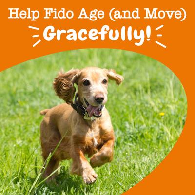 Show full view: Zesty Paws Advanced Mobility Bites Chicken Flavored Soft Chews Glucosamine Hip & Joint Supplement for Senior Dogs, 270 count slide 6 of 12