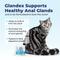 Show in main carousel: Vetnique Labs Glandex Feline Anal Gland Support Probiotic & Digestion Tuna Flavored Powder Supplement for Cats, 2 count slide 5 of 11