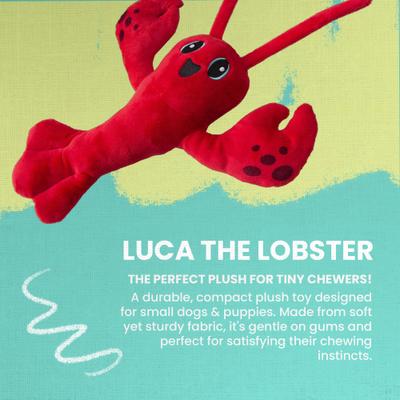 Show full view: Snugarooz Luca the Lobster Squeaky Dog Plush Toy slide 2 of 5