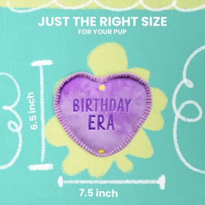 Show full view: Snugarooz Birthday Era Squeaky Dog Plush Toy slide 6 of 7