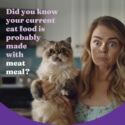 Show full view: Halo Holistic Indoor Chicken Recipe Complete Digestive Health & Healthy Weight Support Adult Grain-Free Cage-Free Dry Cat Food, 3-lb bag slide 4 of 12