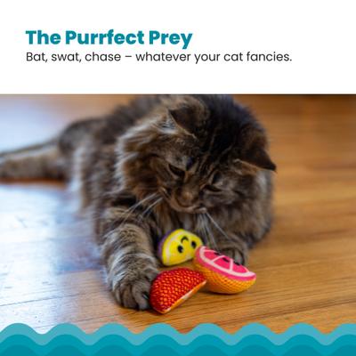 Show full view: Catstages Dental Fruit Wedges Cat Plush Toy with Catnip, Multicolored, 4 count slide 4 of 8