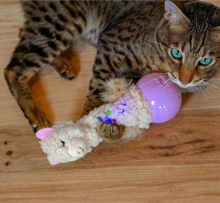 Show full view: Catstages Electronic Dancing Llama Interactive Cat Plush Motion Toy, Wobbles, White slide 6 of 9
