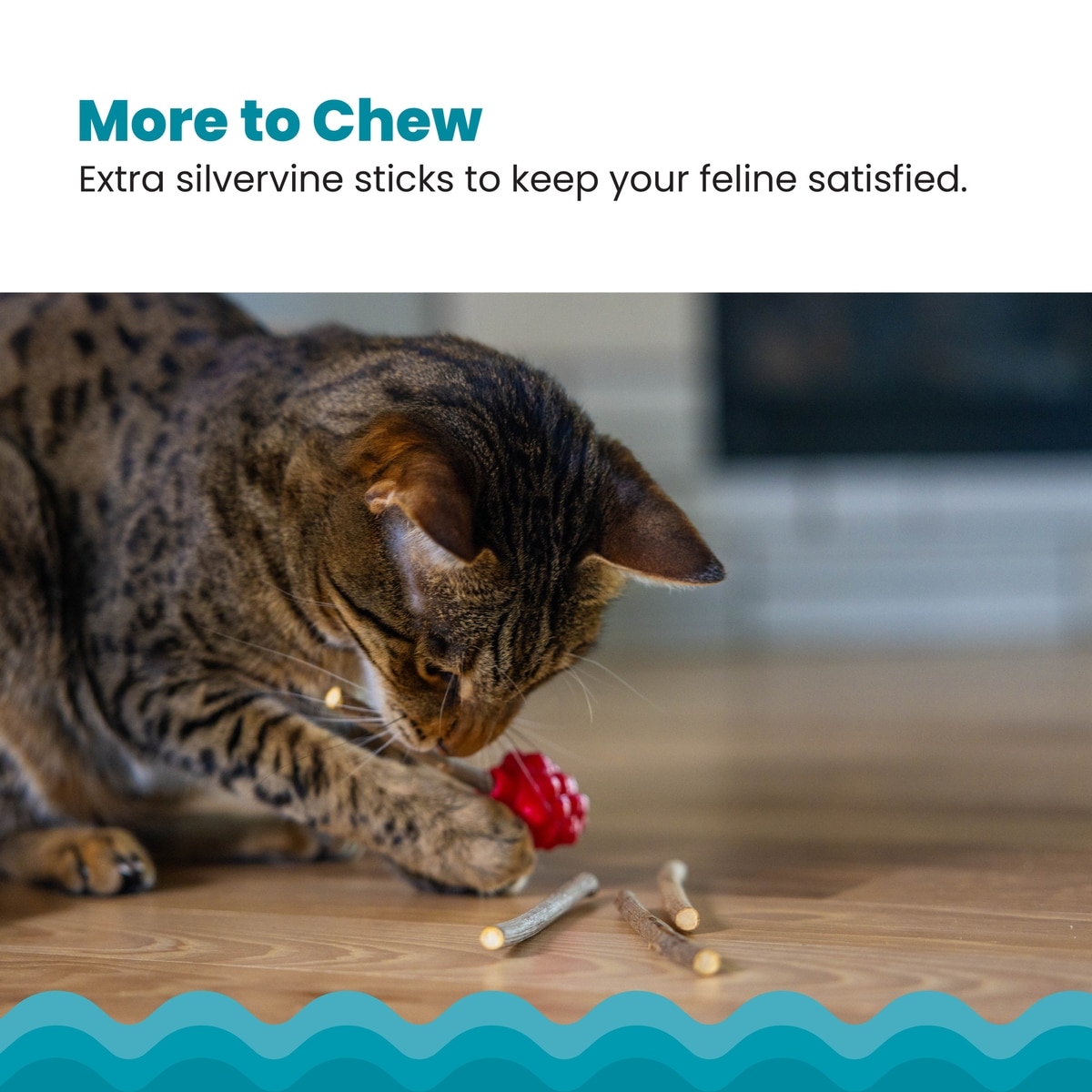 ブライアベリー　ネコ えっくす☆きゅーと ふぁみりーmeow×meow a・la・mode～Cat Lover