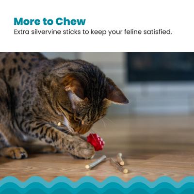 Show full view: Catstages Dental Raspberry Teether Cat & Kitten Plush Toy with Silvervine Sticks, Red slide 7 of 9