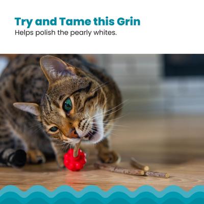 Show full view: Catstages Dental Raspberry Teether Cat & Kitten Plush Toy with Silvervine Sticks, Red slide 4 of 9