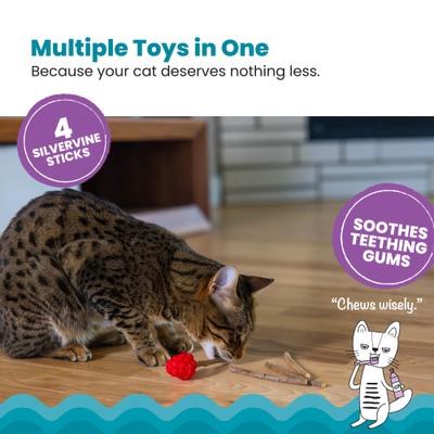 Show full view: Catstages Dental Raspberry Teether Cat & Kitten Plush Toy with Silvervine Sticks, Red slide 2 of 9