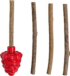Catstages Dental Raspberry Teether Cat & Kitten Plush Toy with Silvervine Sticks, Red slide 1 of 8