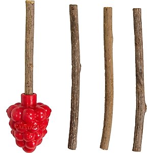 Catstages Dental Raspberry Teether Cat & Kitten Plush Toy with Silvervine Sticks, Red