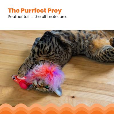 Show full view: Catstages Racin' Squirrel Robot, Electronic Moving Cat Motion Toy, Red slide 4 of 9