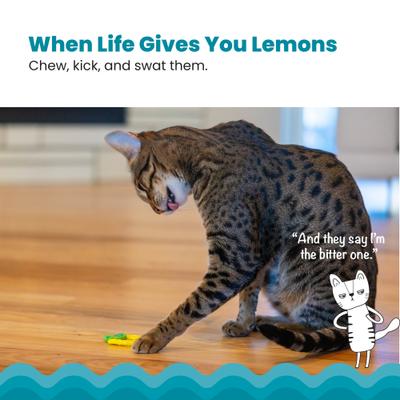 Show full view: Catstages Dental Lemon Teether Cat Plush Toy with Catnip Oil, Yellow slide 2 of 9