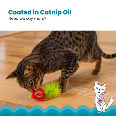 Show full view: Catstages Dental Strawberry Teether Cat Plush Toy with Catnip Oil, Pink slide 4 of 9