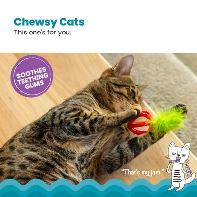 Show full view: Catstages Dental Strawberry Teether Cat Plush Toy with Catnip Oil, Pink slide 2 of 9