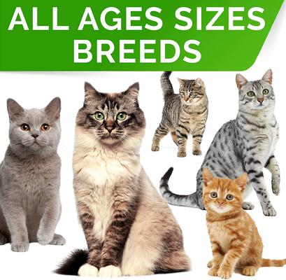 Show full view: StrellaLab Cat Probiotic Powder & Probiotics with Diarrhea Fiber & Digestive Support Supplement for Cats, 2 count slide 6 of 10