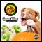 Show in main carousel: PetBeing Green a Day Veggie Strips Pumpkin & Apple Vegetarian Supplement Chew for Dogs, 3-oz bag slide 8 of 8
