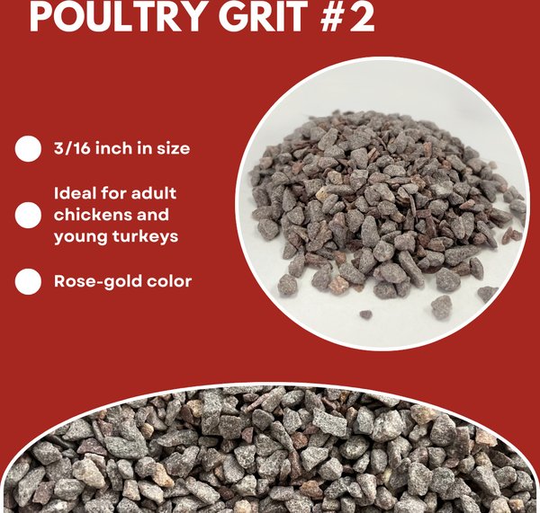 Cherry Stone Type 2 Poultry Grit Chicken Supplement