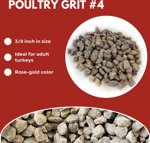 Cherry Stone Type 4 Poultry Grit Chicken Supplement, 50-lb bag