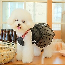 Dolly Pet Sun Kissed Elegance Dog Dress, Black/Red, X-Small