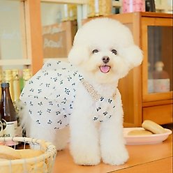 Dolly Pet Sun Kissed Elegance Dog Dress, White/Ivory, Large slide 2 of 5