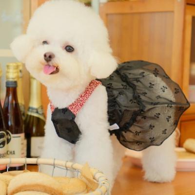 Show full view: Dolly Pet Sun Kissed Elegance Dog Dress, Black/Red, X-Small slide 3 of 5