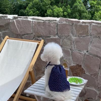 Show full view: Dolly Pet Floral Glow Denim Dress with Lace Bow Dog Dress, Deep/Neon Pink, X-Small slide 2 of 5