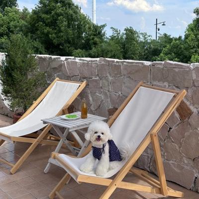 Show full view: Dolly Pet Floral Glow Denim Dress with Lace Bow Dog Dress, Deep/Neon Pink, X-Small slide 3 of 5
