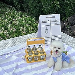 Dolly Pet Fluorescent Cherry Pleated Dog Skirt, Blue, X-Large