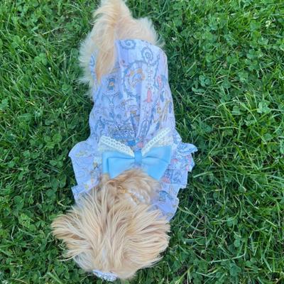 Show full view: Dolly Pet Breeze Bliss Dog Dress, Medium slide 3 of 6