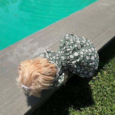 Show full view: Dolly Pet Leafy Bloom Girl Dog Dress, X-Small slide 3 of 5