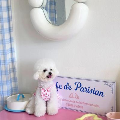 Show full view: Dolly Pet Glamorous Grace Dog Dress, X-Large slide 3 of 6