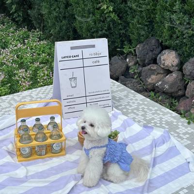 Show full view: Dolly Pet Fluorescent Cherry Pleated Dog Skirt, Blue, X-Large slide 2 of 4