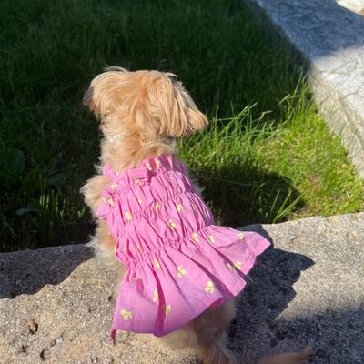 Show full view: Dolly Pet Fluorescent Cherry Pleated Dog Skirt, Pink, Medium slide 3 of 4