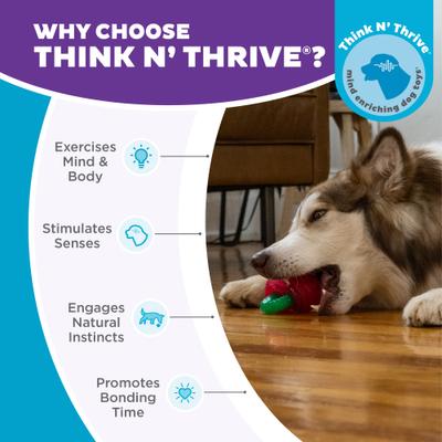 Show full view: Outward Hound Gummiez Cherries 2-in-1 Dental Dog Chew & Dog Treat Dispensing Game Toy, Red slide 6 of 10