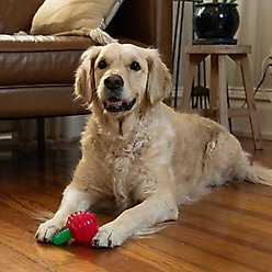 Outward Hound Gummiez Cherries 2-in-1 Dental Dog Chew & Dog Treat Dispensing Game Toy, Red slide 2 of 8