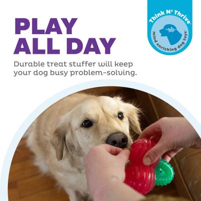Show full view: Outward Hound Gummiez Cherries 2-in-1 Dental Dog Chew & Dog Treat Dispensing Game Toy, Red slide 2 of 10