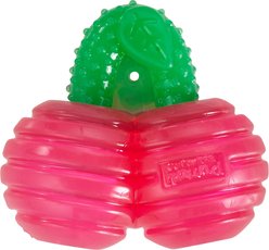 Outward Hound Gummiez Cherries 2-in-1 Dental Dog Chew & Dog Treat Dispensing Game Toy, Red