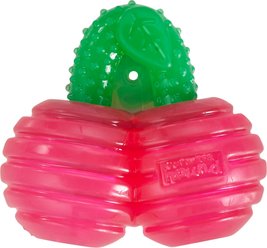 Outward Hound Gummiez Cherries 2-in-1 Dental Dog Chew & Dog Treat Dispensing Game Toy, Red