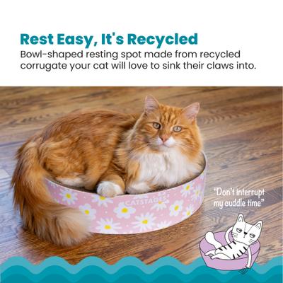 Show full view: Catstages Scratch & Snuggle Cat Sratcher with Catnip, Daisy Pink slide 2 of 7