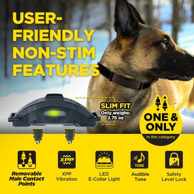 Show full view: Dogtra ARC-X 4000-ft IPX9K Waterproof Vibration & Tone Remote Dog Training Collar, one-size, Black slide 4 of 10