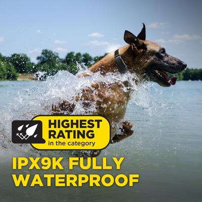 Show full view: Dogtra ARC-X 4000-ft IPX9K Waterproof Vibration & Tone Remote Dog Training Collar, one-size, Black slide 6 of 10