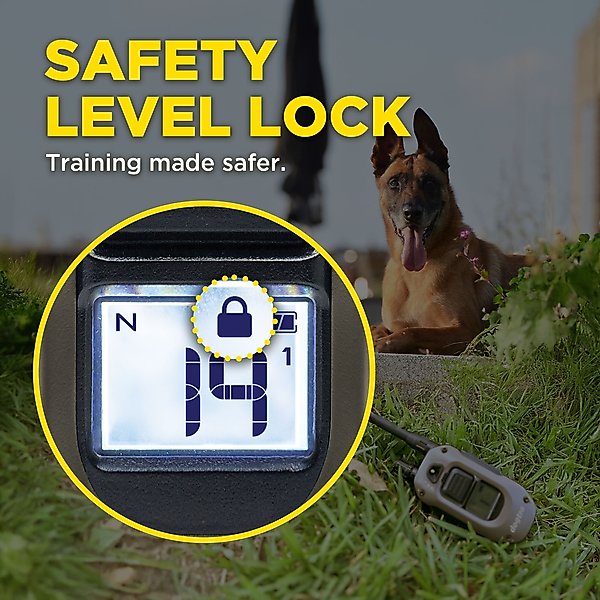 Show full view: Dogtra ARC-X 4000-ft IPX9K Waterproof Vibration & Tone Remote Dog Training Collar, one-size, Black slide 7 of 10