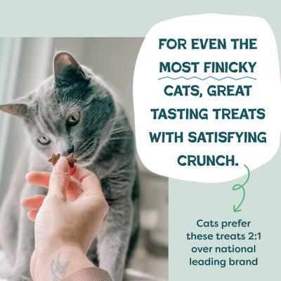 Show full view: Shameless Pets Catnip N Chill Chicken Crunchy Cat Treats, 12-oz bag slide 4 of 11