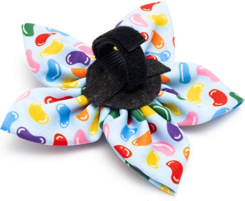 Show full view: The Worthy Dog Jelly Beans Flower Dog Collar Accessory, Small slide 2 of 3
